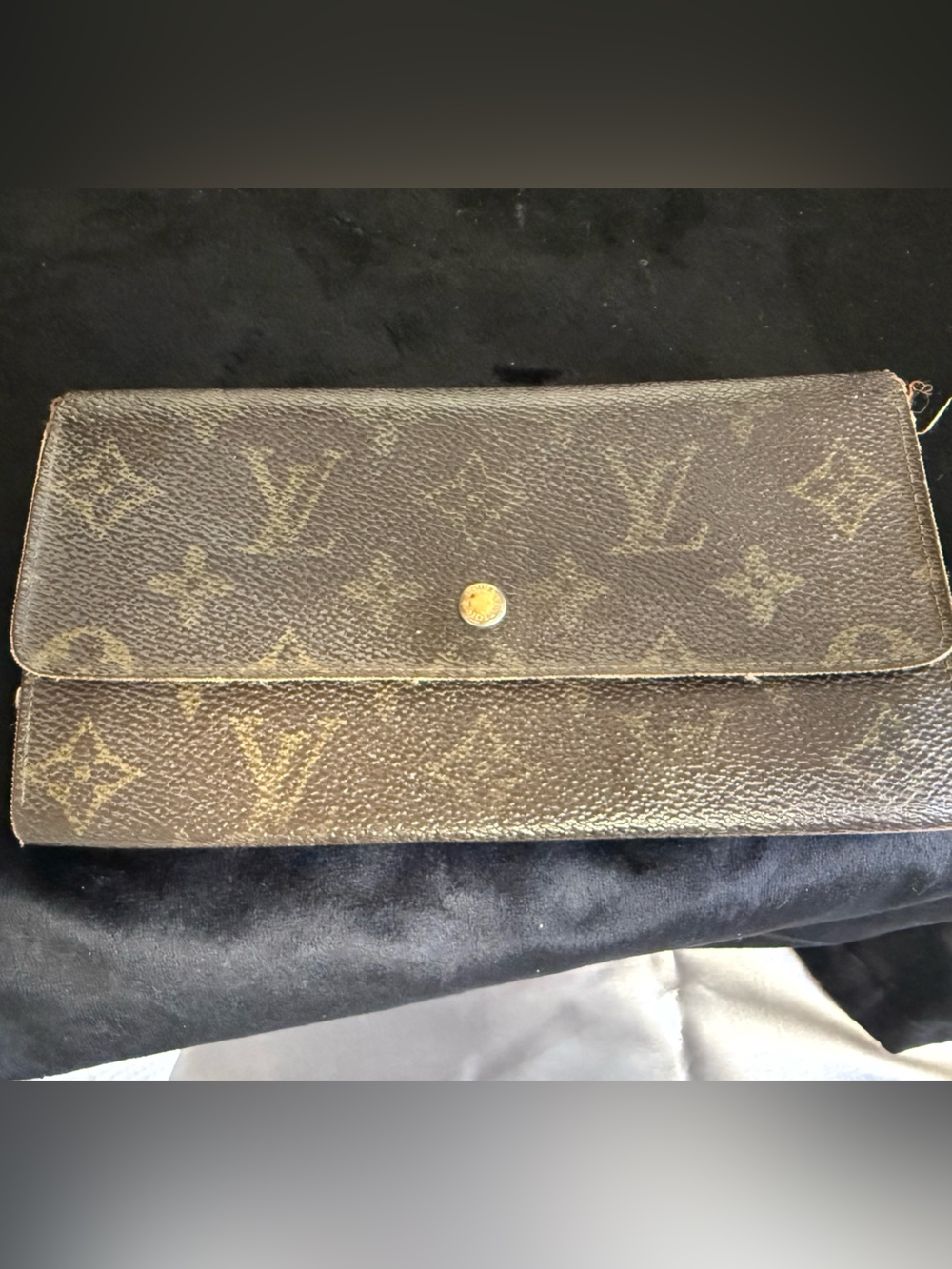 Women's Brown Leather Crossbody Wallet - Brown Louis Vuitton